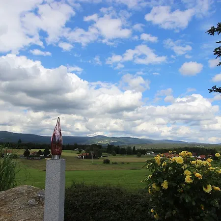 Hotel Der Wieshof 3*