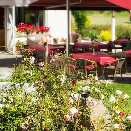 Hotel Der Wieshof 3*