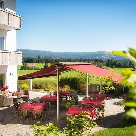 Hotel Der Wieshof 3*