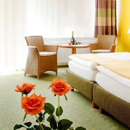 ホテル Der Wieshof 3*